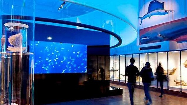 Afbeeldingsresultaat voor musee oceanographique monaco