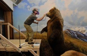 Le Palais de Tokyo lorgne sur les Dioramas
