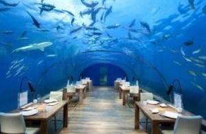 Les Maldives touchent le Fonds