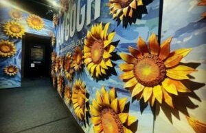 Dans les yeux et l’esprit de Van Gogh à Villeurbanne
