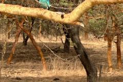 IMG-20250625-WA0122