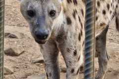 IMG-20250625-WA0150