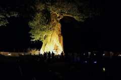 IMG-20250629-WA0140