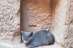 image00105