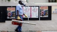 Guadeloupe, une épidémie complètement dengue