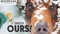 Espèces d’ ours ! au Museum National d’Histoire Naturelle