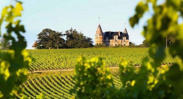 Bon vin : Château Rayne Vigneau, un Sauternes entre tradition et modernité