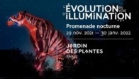 L’Évolution en belle voie d’illumination