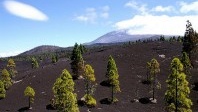 Tenerife poursuit son ascension sur le marché français