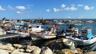 Entre cœur et raison, la partition du tourisme à Chypre