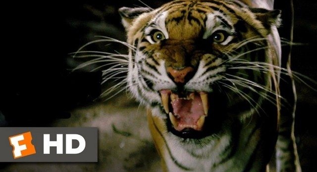 The wild immersion : La nouvelle attraction phare du Jardin d’Acclimatation