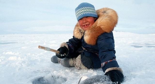 Que mange t-on au pôle nord ?