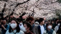 Comment le covid pénalise encore les voyages intérieurs au Japon