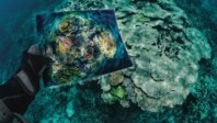 Tourisme et nautisme : un danger de plus pour l’environnement ?