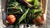 Comment l’IA réduit le gaspillage alimentaire dans les hôtels