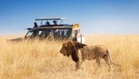 Tourisme au Kenya, un marché porteur qui sort ses griffes