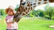 Le 1er parc animalier au Tanganyika s’ouvre au tout compris