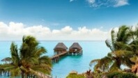 Des irrésistibles voyages par Solea