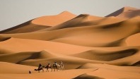Sahara occidental