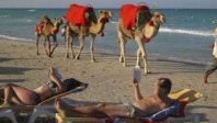 Why is tourism in Tunisia still growing despite everything?