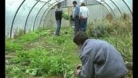 Le village « Sesame » (Rhône) pour les personnes autistes