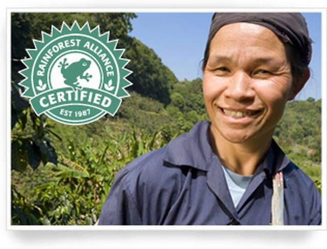 Rainforest Alliance à la recherche de partenaires professionnels