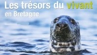 Les Bretons consultés sur la biodiversité