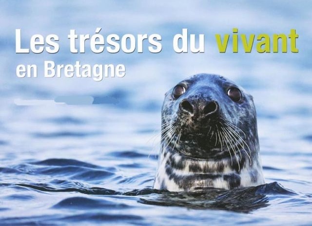 Les Bretons consultés sur la biodiversité