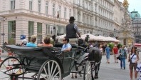 Visit Vienna, the most pleasant city in the world to live in