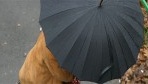 Novembre 2013, un mois à oublier…