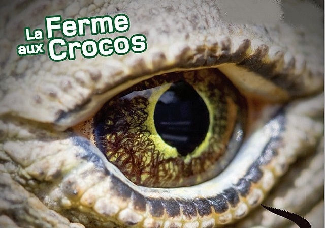 La Ferme aux Crocodiles de Pierrelatte montre les crocs