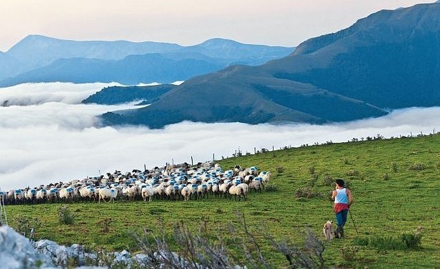 Le Pays Basque n’y va pas par quatre chemins