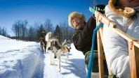 Des québécois très professionnels