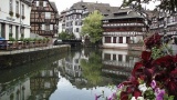 Strasbourg, nouvelle capitale de la biodiversité