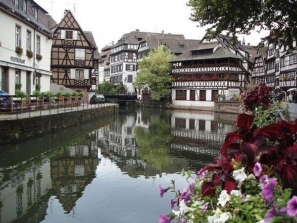 Strasbourg, nouvelle capitale de la biodiversité