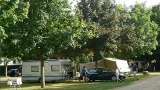 Le Camping prend racines