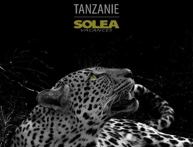 Solea pousse la Tanzanie et Zanzibar