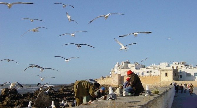 A Essaouira, le Cediv tire la profession vers le Haut