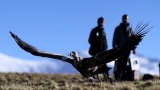 Le Parc National des Pyrénées sous haute tension