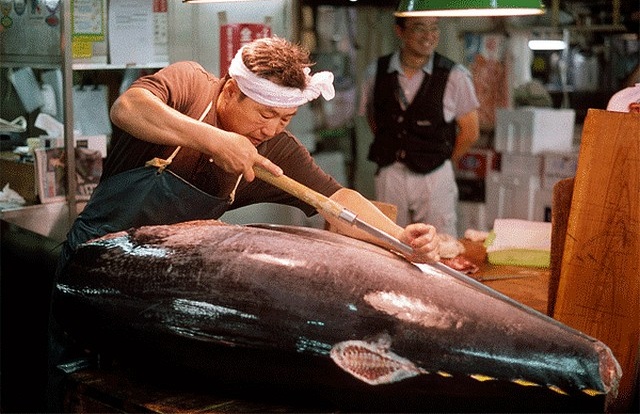 Le célèbre marché aux poissons de Tsukiji à Tokyo va fermer fin 2016
