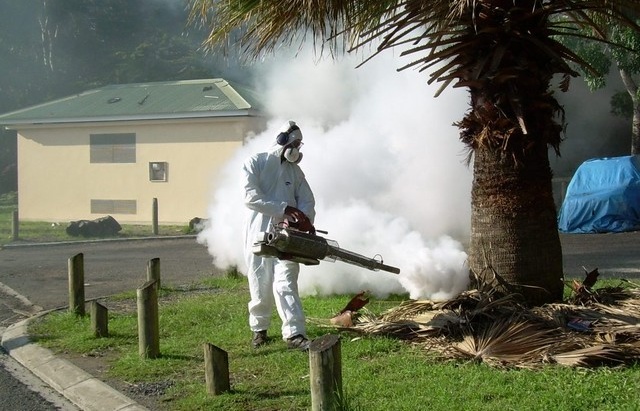 La dengue déclarée en Nouvelle-Calédonie