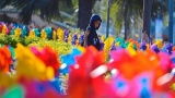 En Malaisie, les chrysanthèmes sont le symbole du bonheur