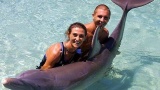 Se baigner avec les dauphins fait flipper à Hawaï