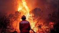 Pleins feux sur le Portugal