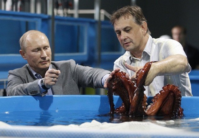 Poutine inaugure un gigantesque aquarium à Vladivostok