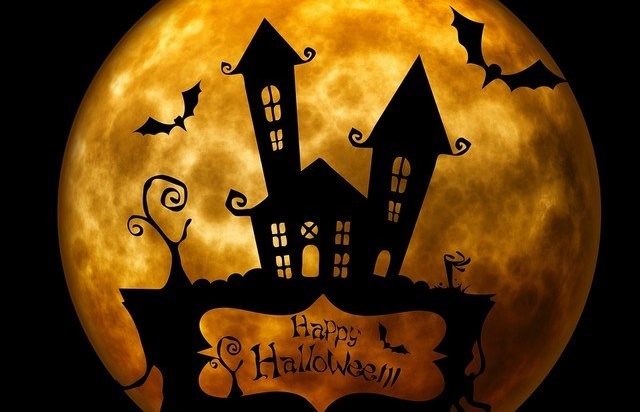 Halloween 2024, comme un brûlot qui glace le sang  !