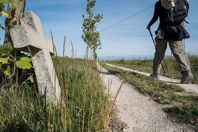 La pastorale en si bon chemin