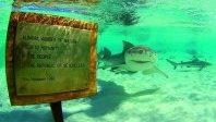 Environnement : les Seychelles veulent faire plus avec moins