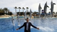 Le Directeur du Marineland jette l’éponge