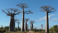Le tourisme durable prend racine